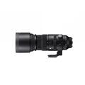 Sigma 150-600mm f/5-6.3 DG DN OS L-mount Lang telezoom for L-mout
