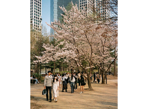 Candido 200 Colour 135-36 Finkornet fargefilm, 200 ASA 