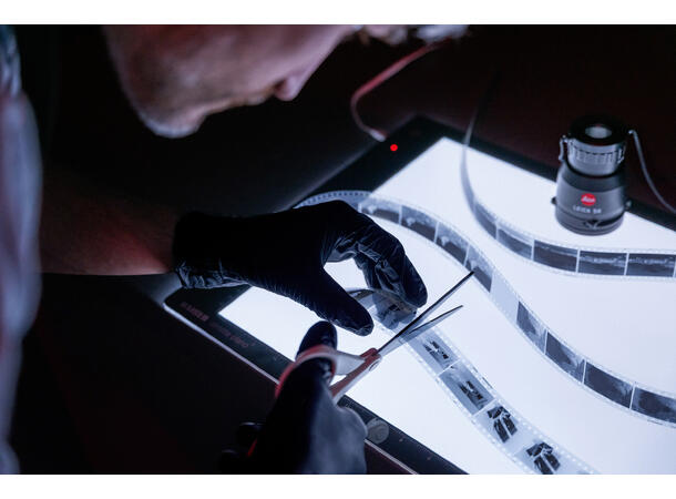 Leica MONOPAN 50 ISO 50, 36 eksp. 