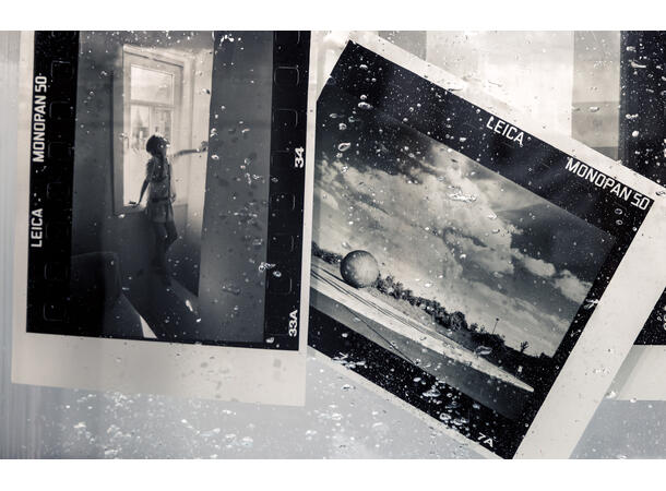 Leica MONOPAN 50 ISO 50, 36 eksp. 