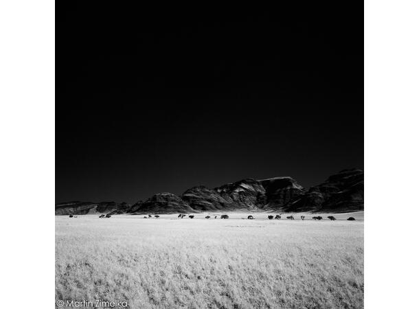 Rollei Infrared 400 4x5" bladfilm 25 ark ISO 400, S/H-film, 10.2x12.7cm 