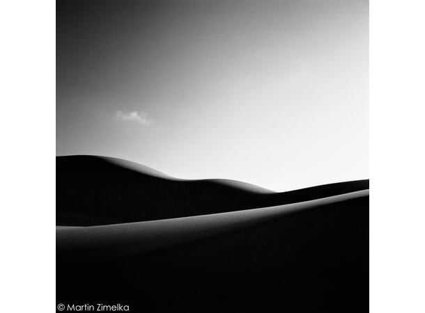 Rollei Infrared 400 4x5" bladfilm 25 ark ISO 400, S/H-film, 10.2x12.7cm 