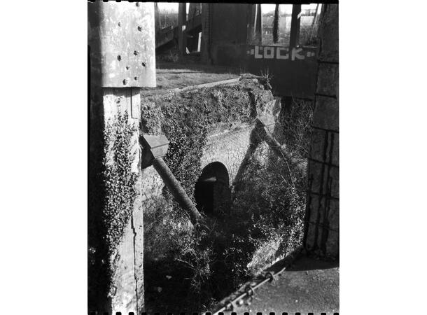 Washi Film K 100 120 ISO 100, S/H-film 