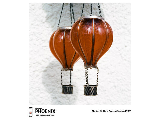 Harman Phoenix ISO 200 120 Fargefilm, 200 ASA 