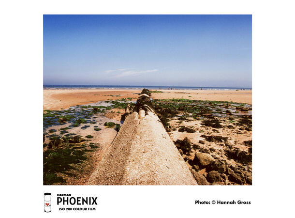 Harman Phoenix ISO 200 120 Fargefilm, 200 ASA 