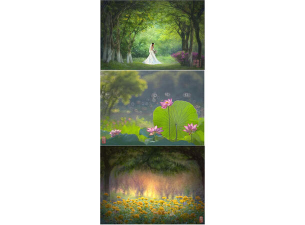 Kase 200mm f/5.6 Speiltele Nikon Z Teleobjektiv med unik bokeh 