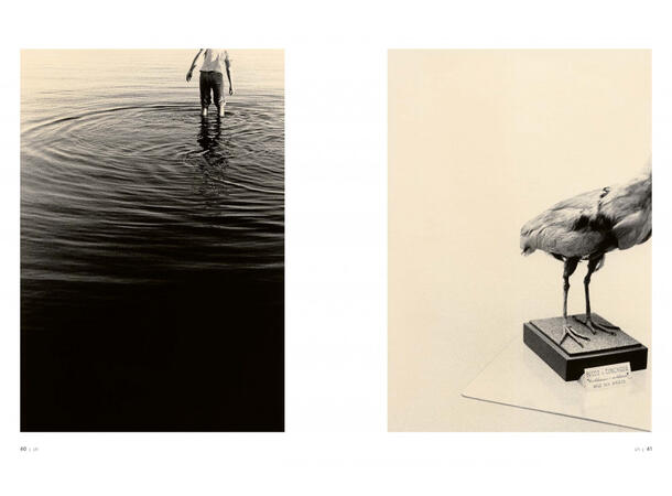 LFI Magazine 5.2026 The World of Leica Photography 