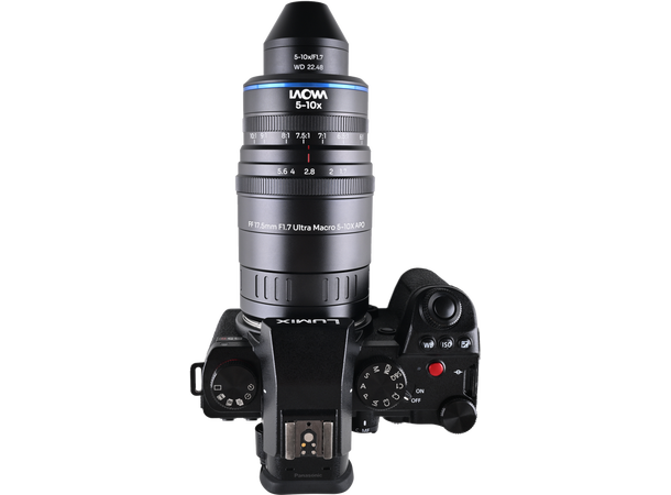 Laowa Aksen 17.5mm F/1.7 - 5-10x Ultra Makro APO - L-fatning 