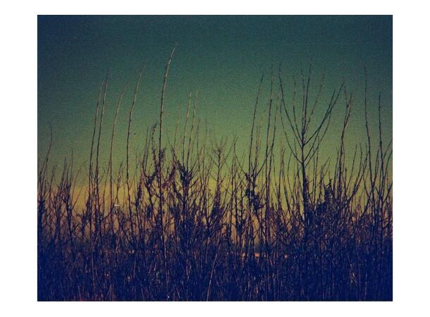 Lomography Lobster Redscale 110 ISO 200 ISO/ASA 200. 110 negativ fargefilm 