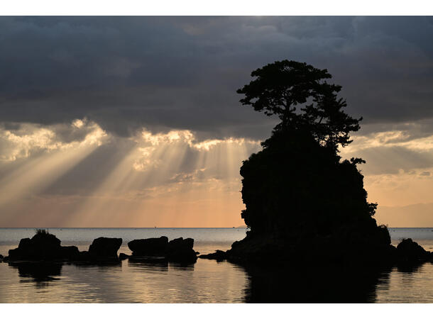 Nikon Z 100-400mm f/4.5-5.6 VR S Lett og kraftig telezoom for Z-system 