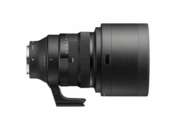 Sigma 135mm F1.4 DG ART Sony E Overlegen bokeh-effekt 