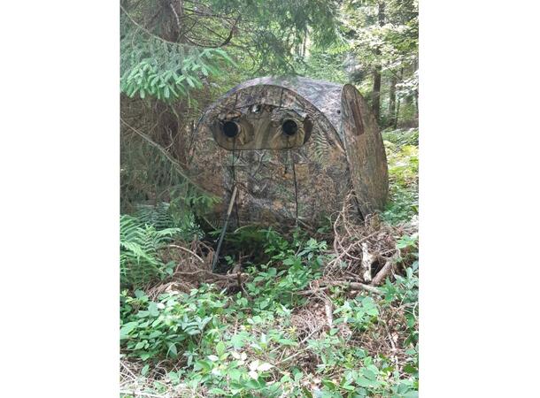Tragopan Grouse Maxi Fotoskjul Kompakt og vanntett kamuflasjetelt 