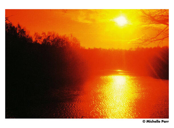 Harman Red ISO 125 135-36 Redscale-film, 125 ASA, 36 bilder 