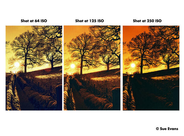 Harman Red ISO 125 135-36 Redscale-film, 125 ASA, 36 bilder 