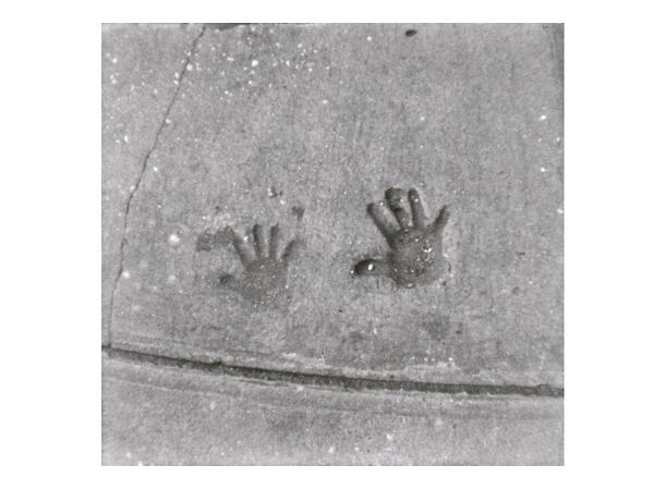 Lomography B&W Orca 110 ISO 100 ISO/ASA 100. 110 negativ sort/hvit film 