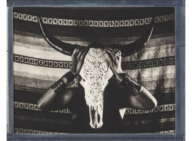 Polaroid B&W Film for 8x10 Instant sort/hvit-flm til 8x10" 