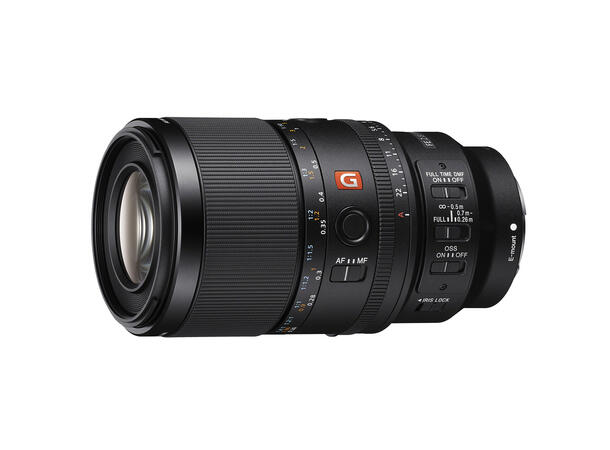 Sony FE 100mm F2.8 Macro GM OSS Macro – Beyond Life Size 
