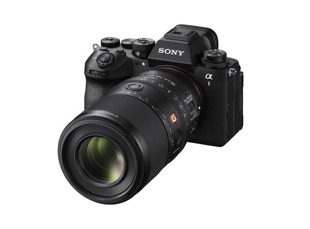 Sony FE 100mm F2.8 Macro GM OSS Macro – Beyond Life Size 