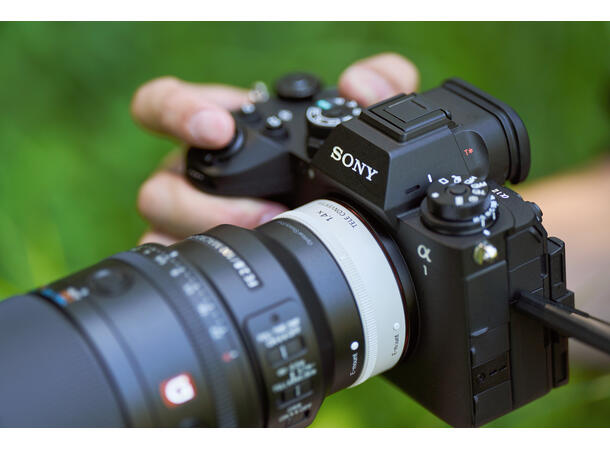 Sony FE 100mm F2.8 Macro GM OSS Macro – Beyond Life Size 