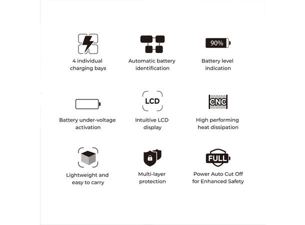 Accsoon Hurtiglader TopRig NP-F 100W, Fire NP-F batterier 