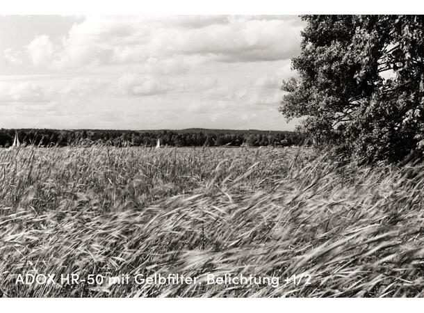 Adox HR-50 135 30,5 meter rull Bulk. ISO 50 m/ speed boost. S/H-film 