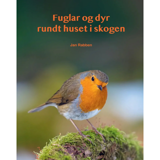 Fuglar og dyr rundt huset i skogen av Jan Rabben