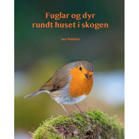 Fuglar og dyr rundt huset i skogen av Jan Rabben