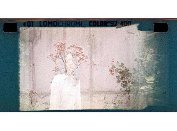 Lomography Color ’92 110 Sun-Kissed ISO/ASA 400. 110 negativ fargefilm 