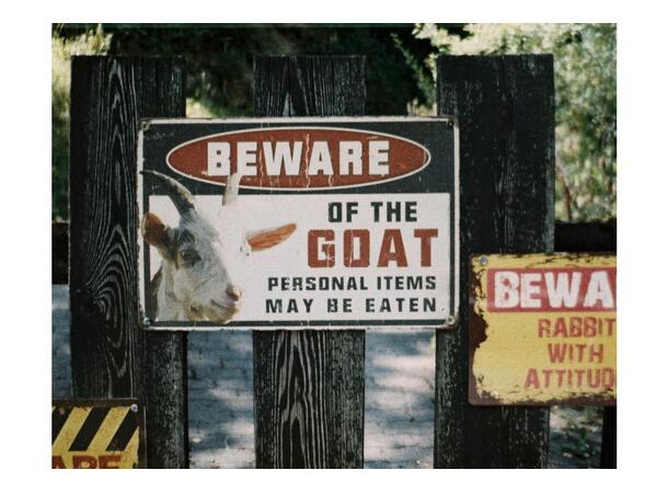 Lomography Color ’92 110 Sun-Kissed ISO/ASA 400. 110 negativ fargefilm 