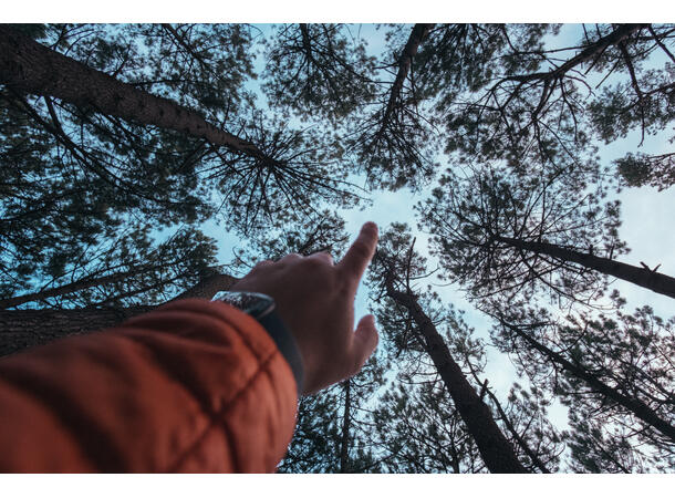 Samyang AF 12mm f/2.0 Fuji X Lyssterk vidvinkel  for APS-C kamera 