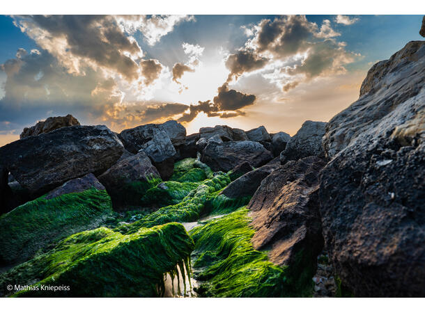 Sony FE 24-70 mm F2.8 GM II G Master-fullformatsobjektiv 