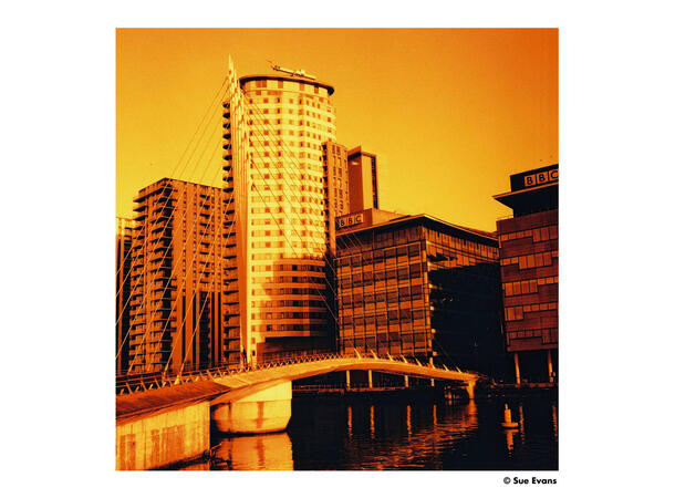 Harman Red ISO 125 120 Redscale-film, 125 ASA, 120-film 