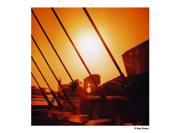 Harman Red ISO 125 120 Redscale-film, 125 ASA, 120-film 