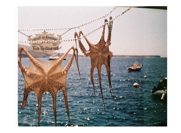 Lomography Analogue Trio Mixed Pack 110 ISO/ASA 200. 110 negativ fargefilm 