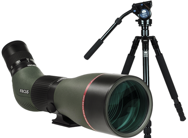 Focus Optimum 20-60x85 APO ED Kit Kit med Sirui R2004 + VH10 Stativ 