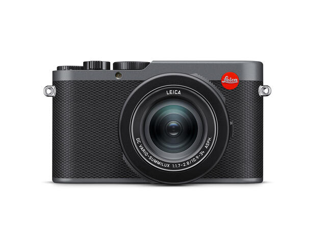 Leica D-Lux 8 Metal Gray Paint 