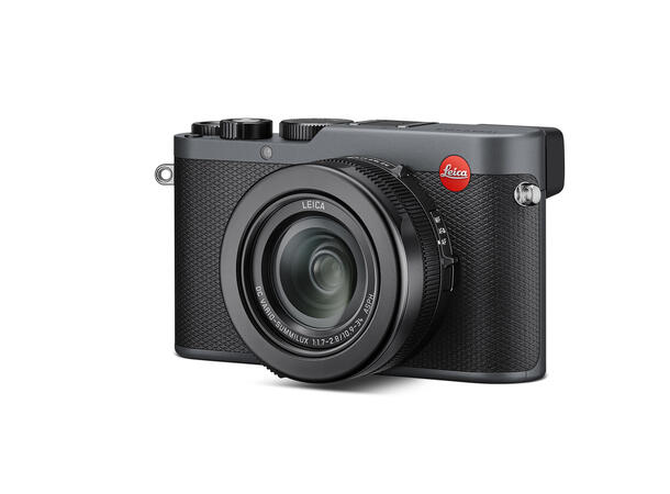 Leica D-Lux 8 Metal Gray Paint 