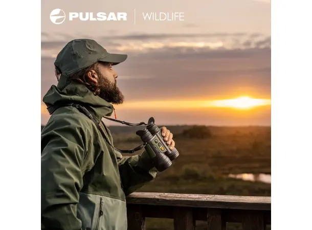 Pulsar Ventex XT50 Termisk binokular kikkert m/ LRF 