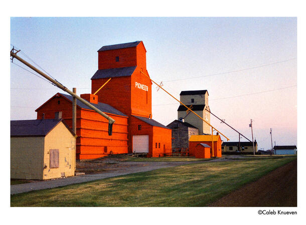 Harman Phoenix II ISO 200 120 Fargefilm, 200 ASA 