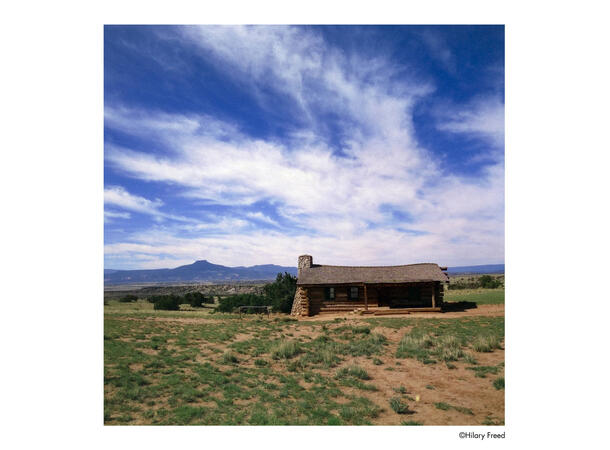 Harman Phoenix II ISO 200 120 Fargefilm, 200 ASA 