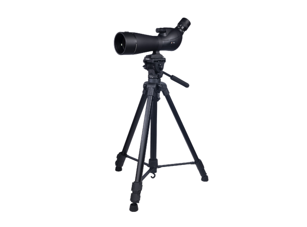 NSO Djupadal 20-60x80 + Benro T980 Spottingscope inkl. stativ 