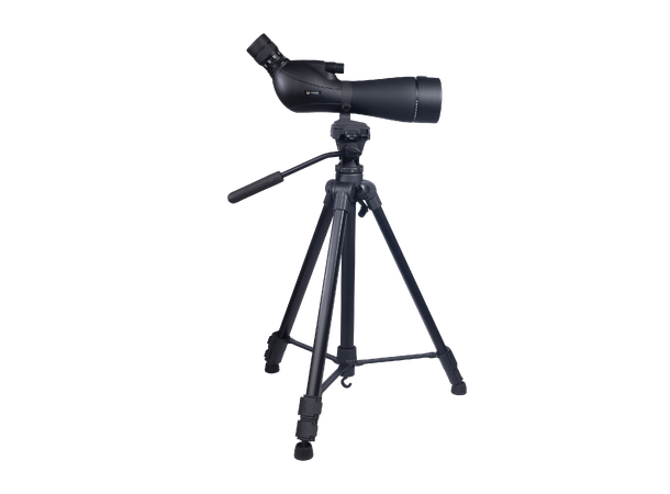 NSO Djupadal 20-60x80 + Benro T980 Spottingscope inkl. stativ 