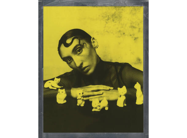 Polaroid DuoChrome film for 8x10 Black & yellow edition. For 8x10" 