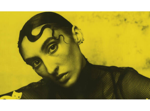 Polaroid DuoChrome film for 8x10 Black & yellow edition. For 8x10" 