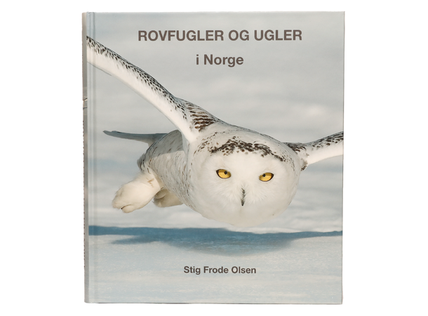 Rovfugler og ugler i Norge Praktbok av Stig Frode Olsen 
