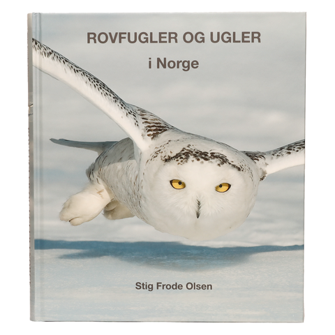 Rovfugler og ugler i Norge Praktbok av Stig Frode Olsen