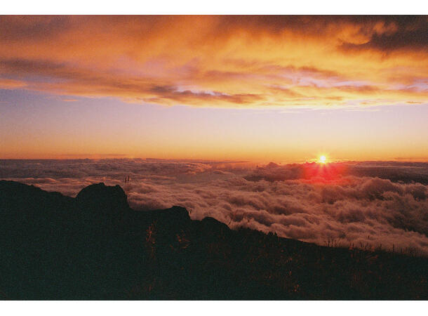 Candido 400 Colour 135-36 Finkornet fargefilm, 400 ASA 