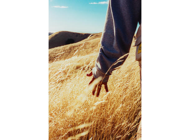 Candido 400 Colour 135-36 Finkornet fargefilm, 400 ASA 