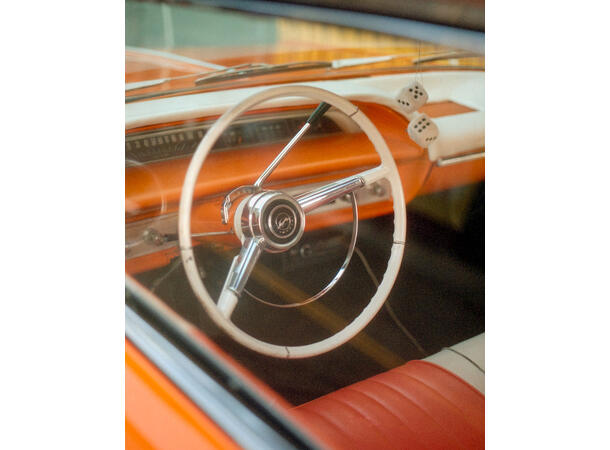 Candido 400 Colour 135-36 Finkornet fargefilm, 400 ASA 