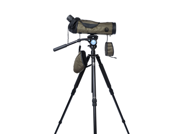 Focus Viewmaster ED 20-60x80 WP Teleskop med skrå innsikt 